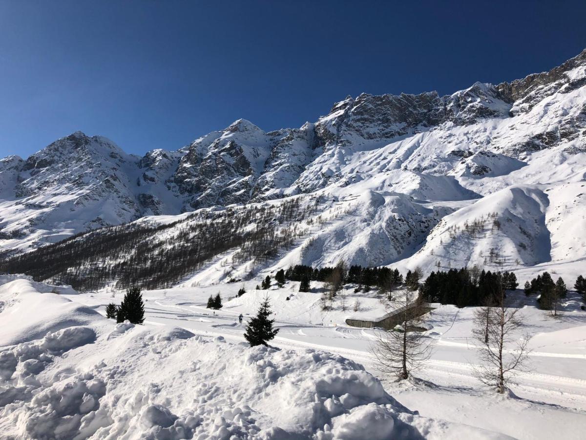 Il Piccolo Rifugio - Casa Valtournenche Διαμέρισμα Εξωτερικό φωτογραφία